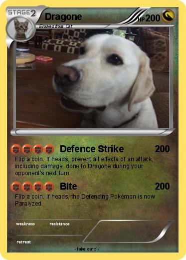 Pokemon Dragone