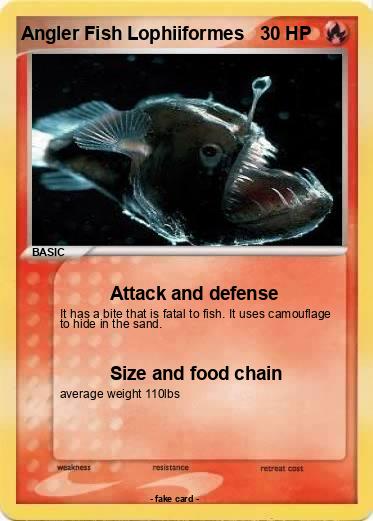 Pokemon Angler Fish Lophiiformes