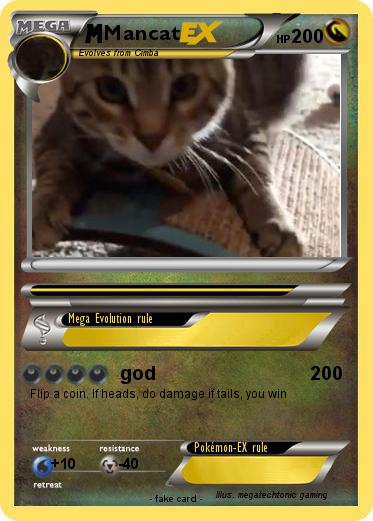 Pokemon Mancat