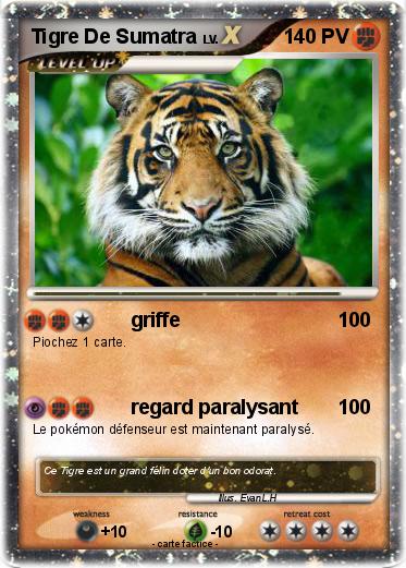 Pokemon Tigre De Sumatra