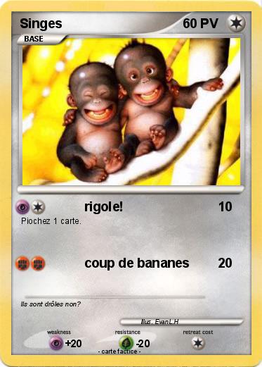 Pokemon Singes