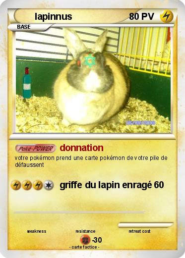 Pokemon lapinnus
