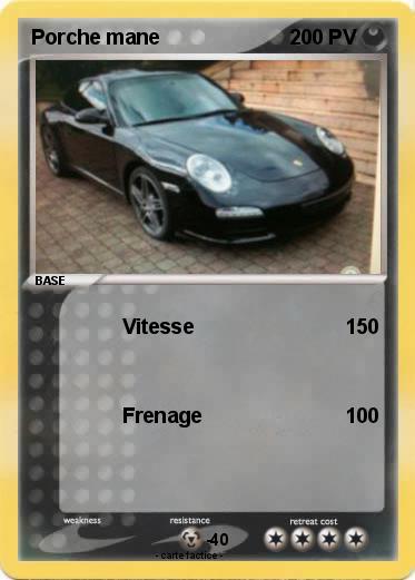 Pokemon Porche mane