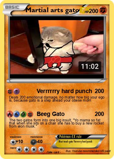 Pokemon Martial arts gato