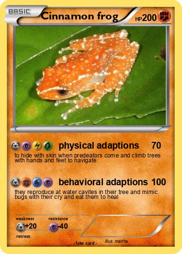 Pokemon Cinnamon frog