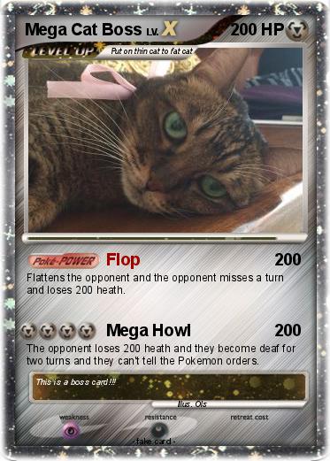 Pokemon Mega Cat Boss