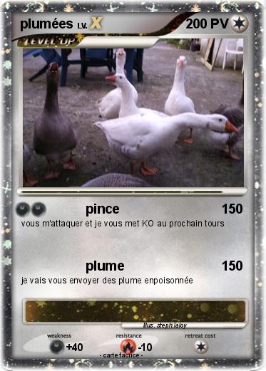 Pokemon plumées