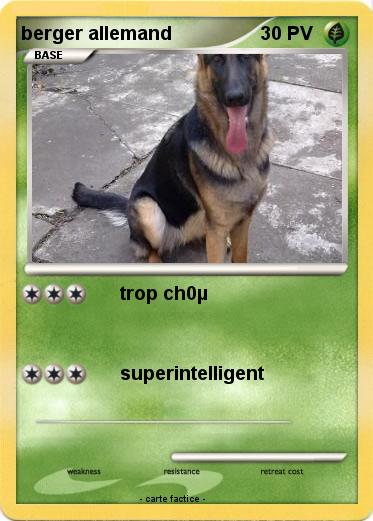 Pokemon berger allemand