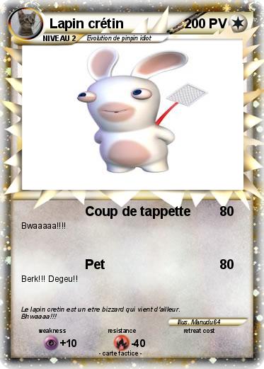 Pokemon Lapin crétin