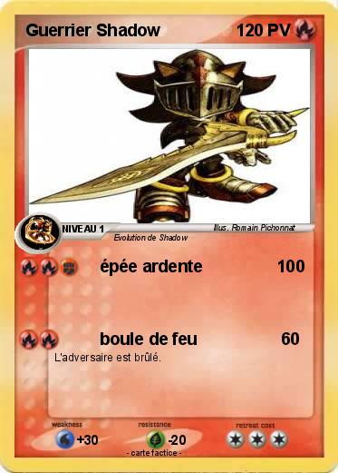 Pokemon Guerrier Shadow