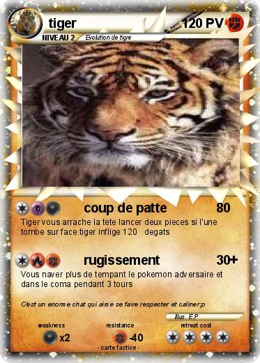 Pokemon tiger