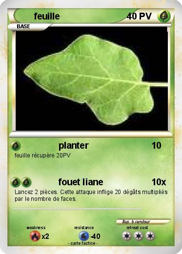 Pokemon feuille