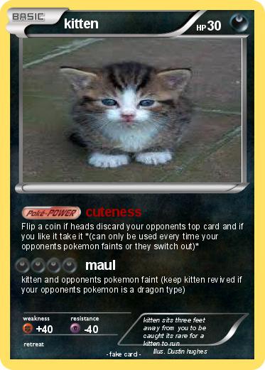 Pokemon kitten
