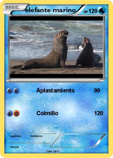 Pokemon elefante marino