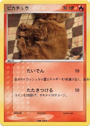 Pokemon ピカチュウ
