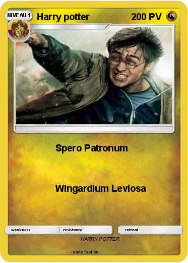 Pokemon Harry potter