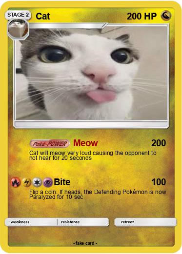 Pokemon Cat