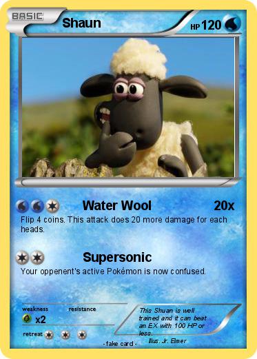 Pokemon Shaun