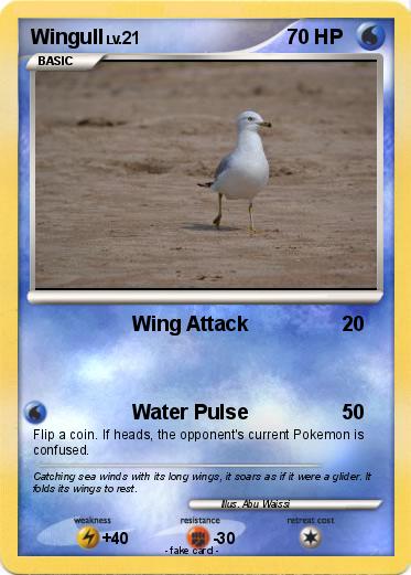 Pokemon Wingull