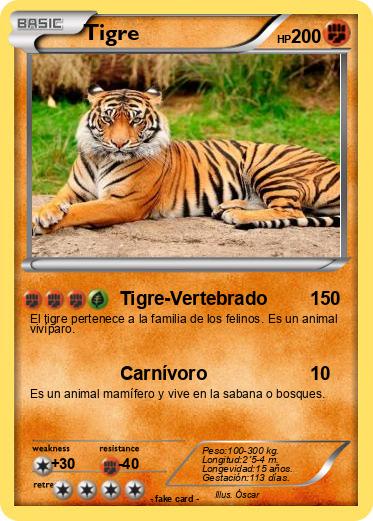 Pokemon Tigre