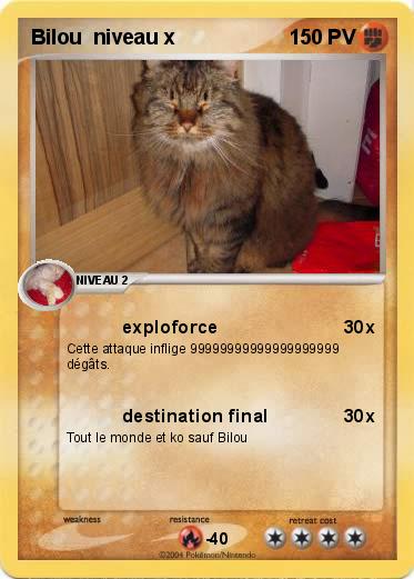 Pokemon Bilou  niveau x