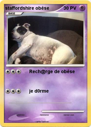 Pokemon staffordshire obèse