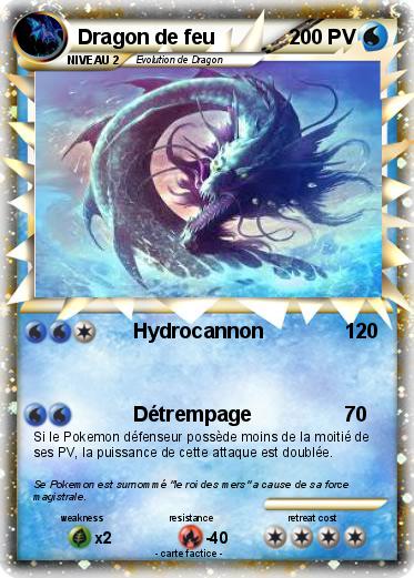 Pokemon Dragon de feu