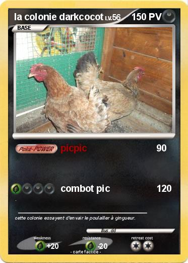 Pokemon la colonie darkcocot