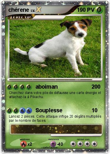 Pokemon chérene