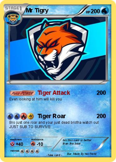 Pokemon Mr Tigry