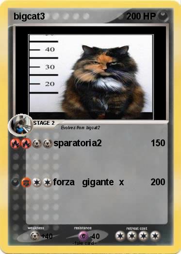 Pokemon bigcat3