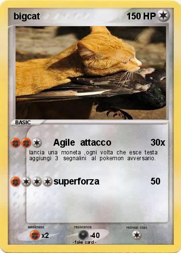Pokemon bigcat