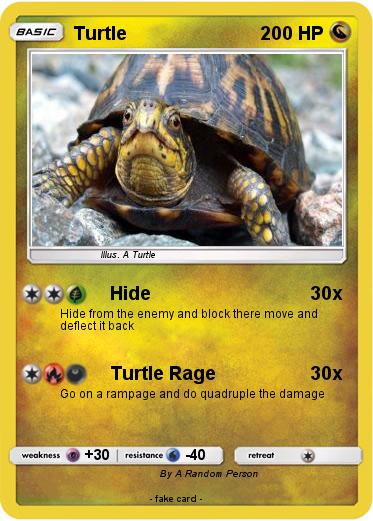 Pokemon Turtle