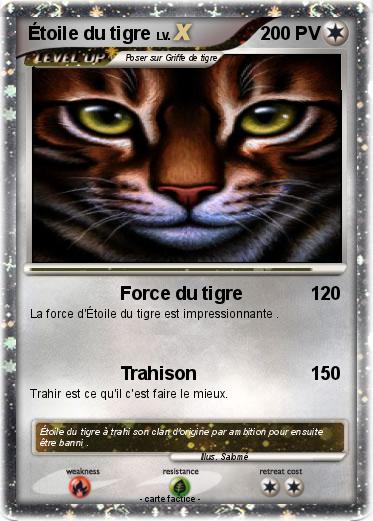 Pokemon Étoile du tigre