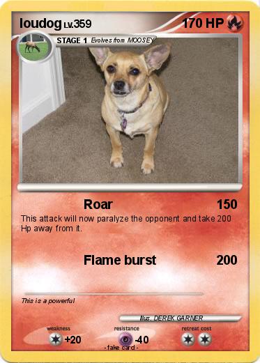 Pokemon loudog