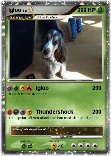 Pokemon Igloo