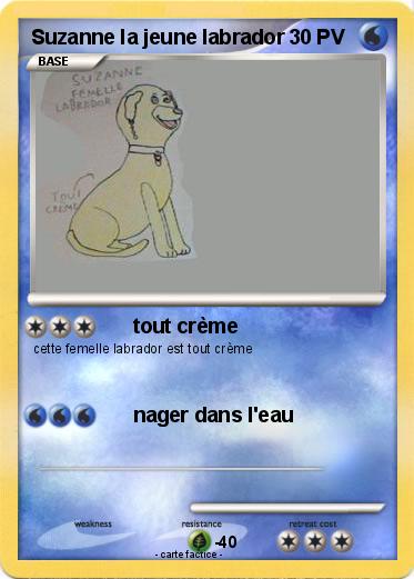 Pokemon Suzanne la jeune labrador