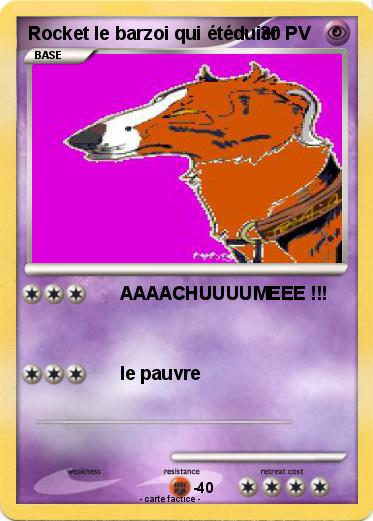 Pokemon Rocket le barzoi qui étéduier
