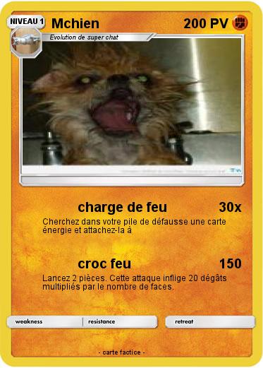 Pokemon Mchien