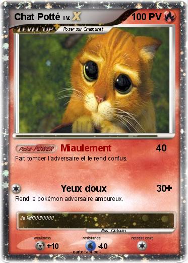 Pokemon Chat Potté