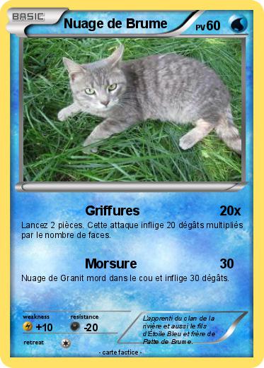 Pokemon Nuage de Brume