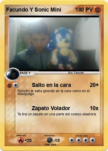 Pokemon Facundo Y Sonic Mini