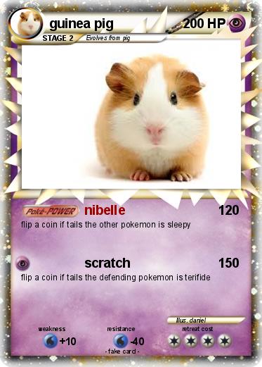 Pokemon guinea pig