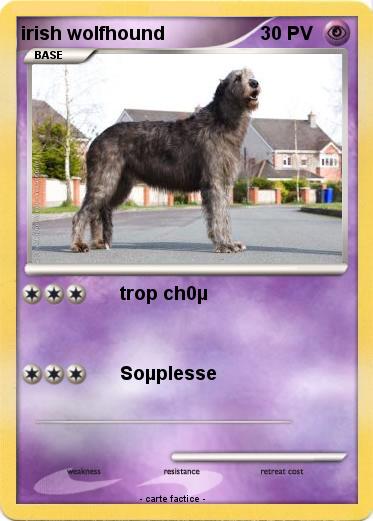 Pokemon irish wolfhound
