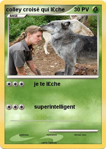 Pokemon colley croisé qui l£che