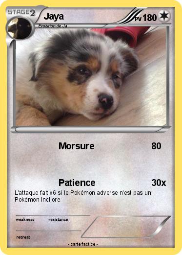 Pokemon Jaya