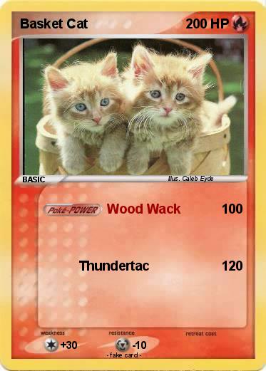 Pokemon Basket Cat