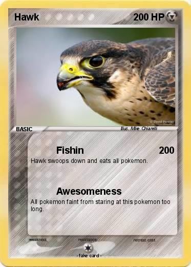 Pokemon Hawk