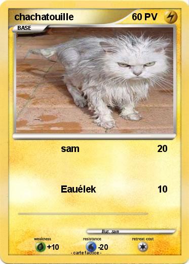 Pokemon chachatouille