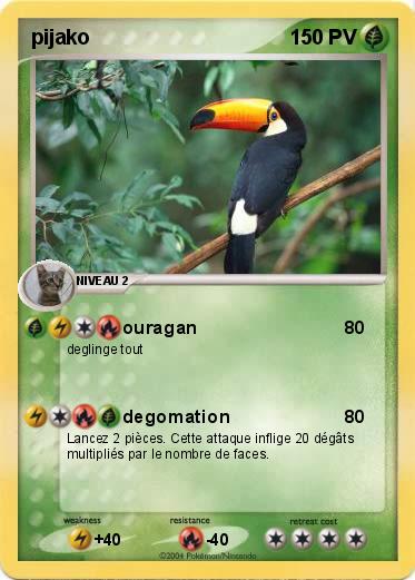 Pokemon pijako